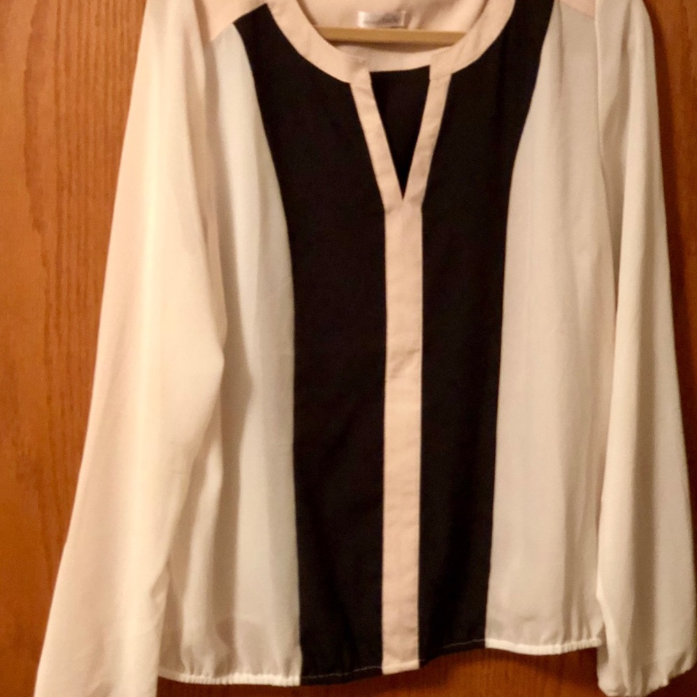 Charming Charlie blouse